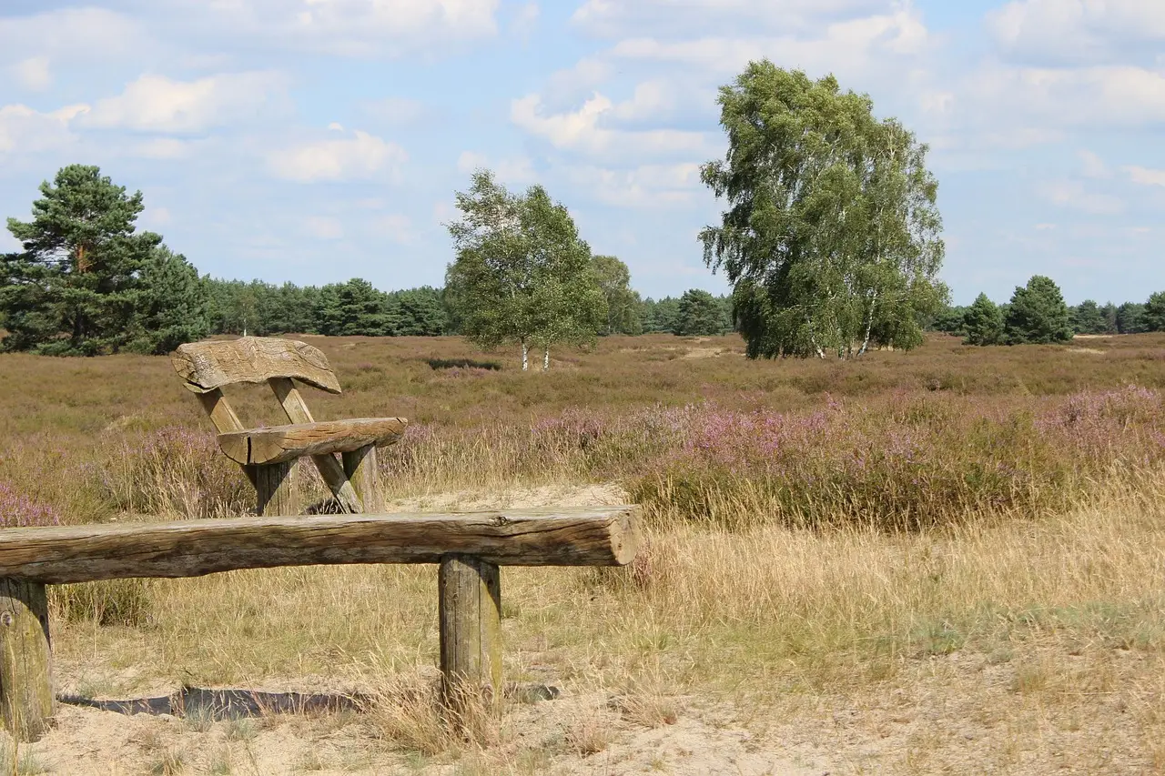 Umzug Benefeld (Fallingbostel)